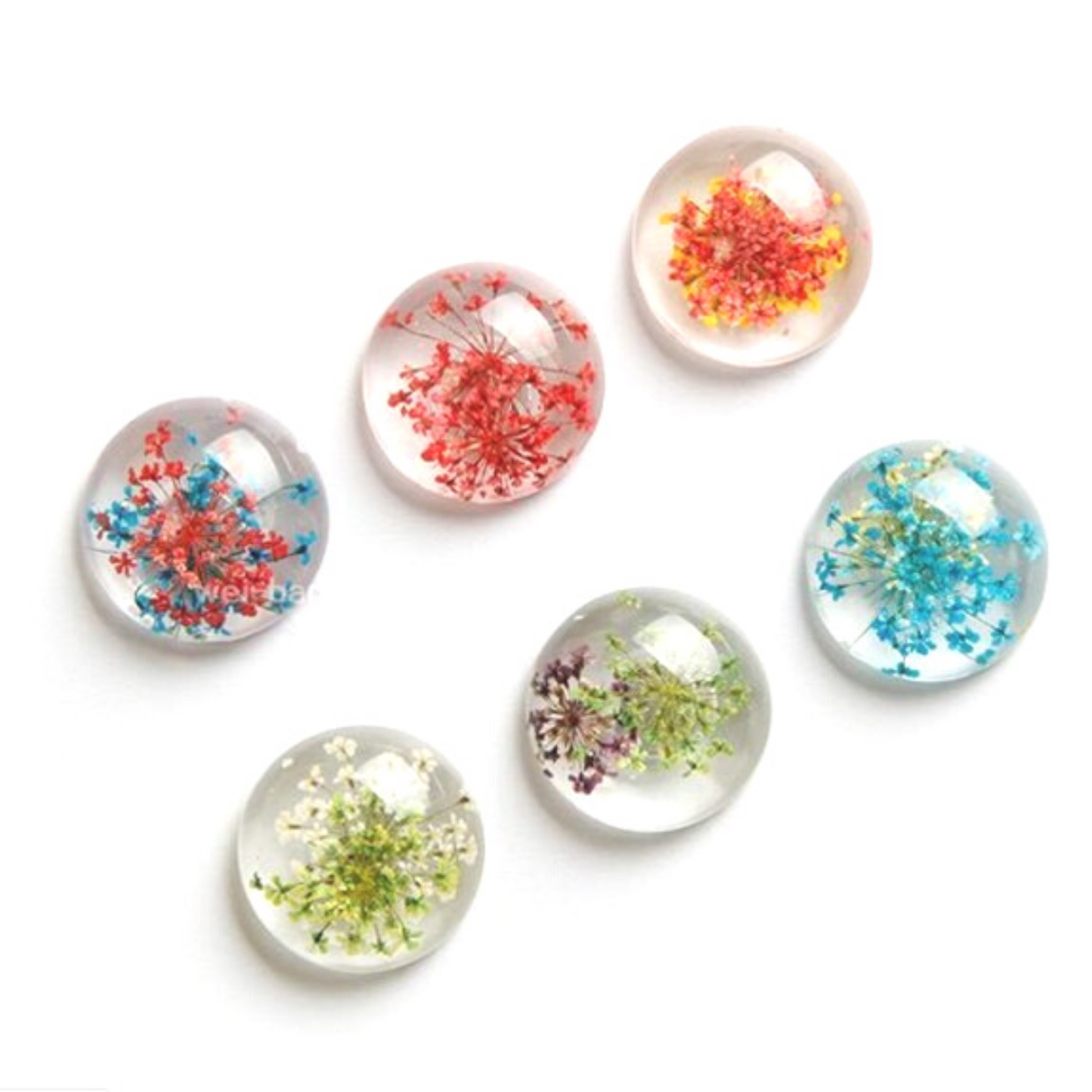 Magnets (set of 6)