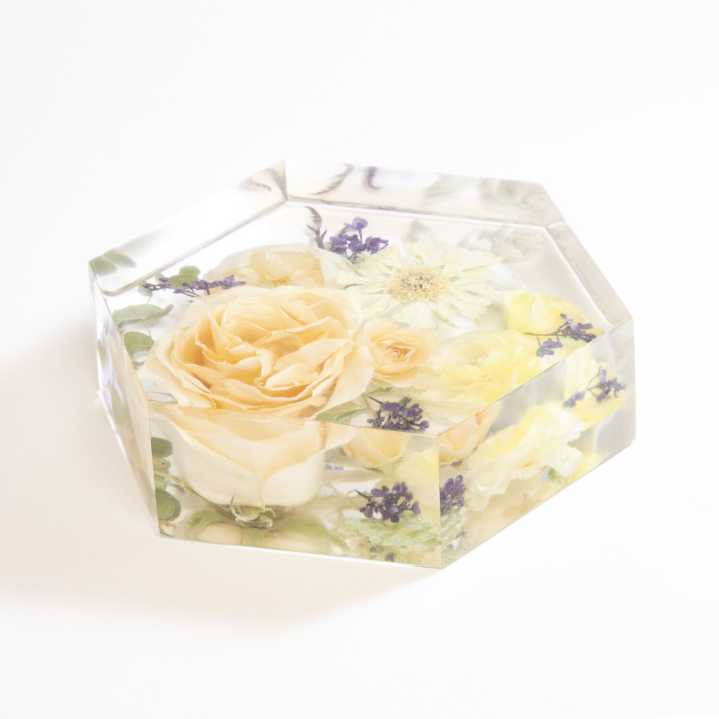 Bloom Preservation Package Deposit