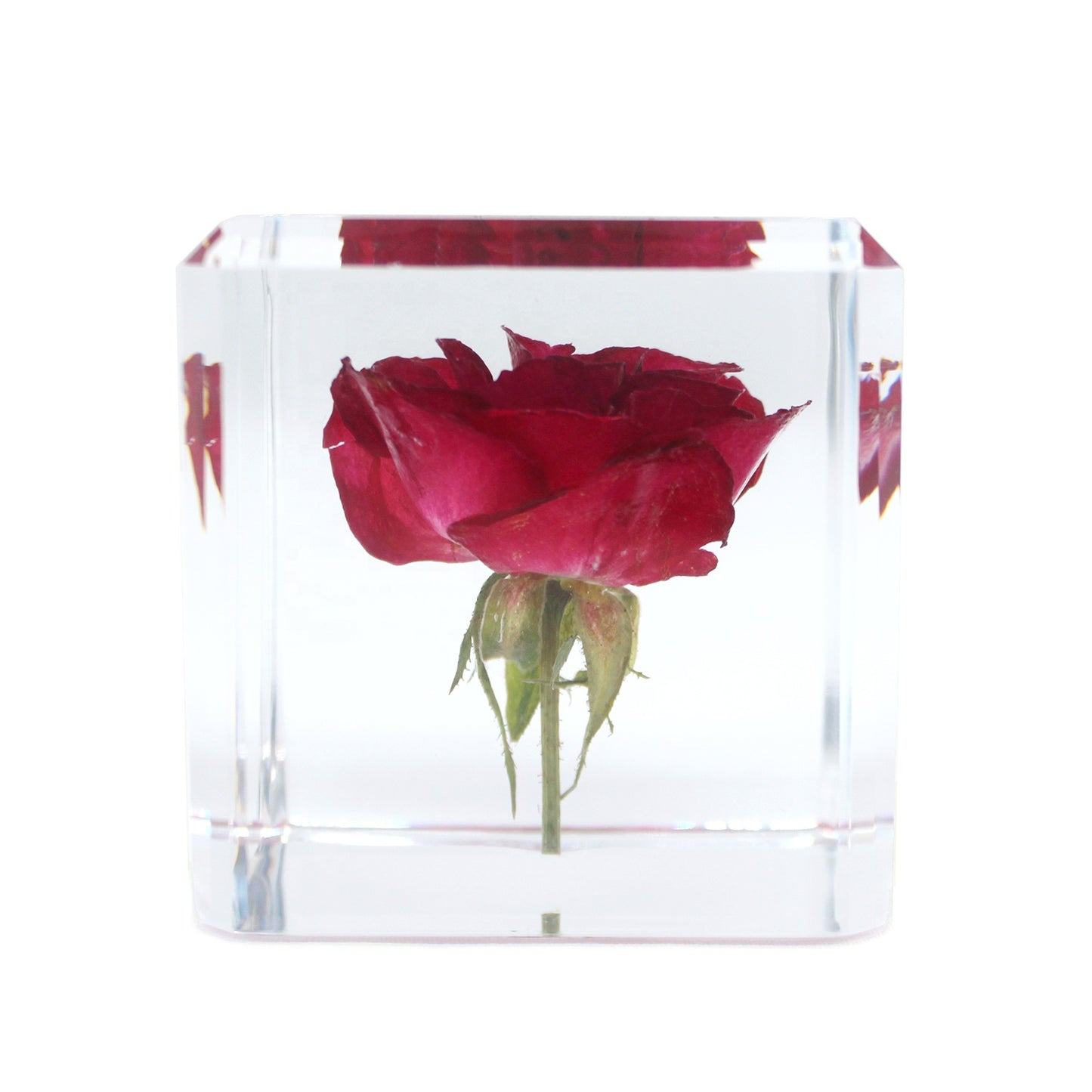 Bloom Preservation Package Deposit