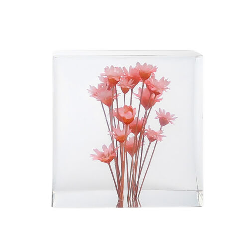 Bloom Preservation Package Deposit